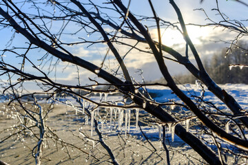 Icy Veil over the Baltic Sea in Sopot