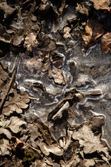 Spring ground covered with thawing snow