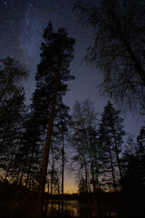 sunset and a starry night sky in the woods
