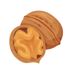 Walnut clipart. Isolated two nuts in cartoon
