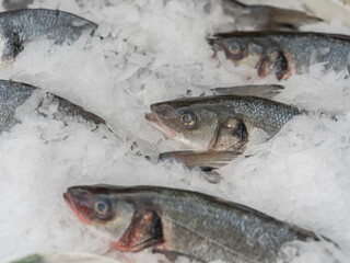 fresh fish at the market