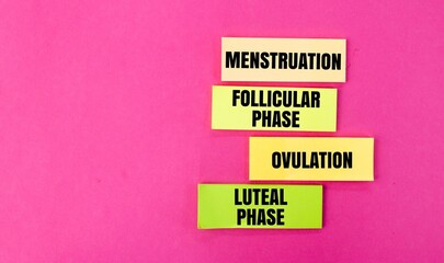colored paper with the words Women's Menstrual Cycle ie Menstruation, Follicular phase, Ovulation and Luteal phase