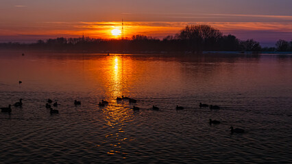 Sunset with reflections near Plattling, Isar, Bavaria, Germany
