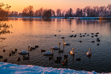 Sunset with reflections near Plattling, Isar, Bavaria, Germany