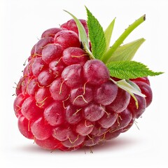 Raspberry isolated on a white background
