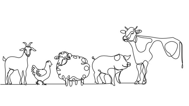 animated continuous single line drawing of farm animals, livestock line art animation