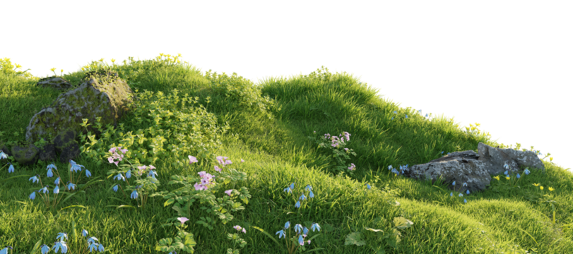 Verdant Hill Blooming with Yellow Flowers in Spring. 3D render.	
