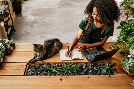 Top view of beautiful African American woman in florist uniform working in plant shop at laptop and writing in notebook. A cat is lying on a wooden table decorated with stones and succulents.