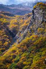 Autumn colors in the mountains