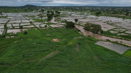 aerial view of the river and rice farm