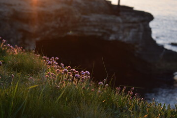 The glow of the first rays of sunlight