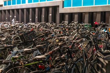 Expansive array of bicycles neatly parked outside a modern building in Amsterdam