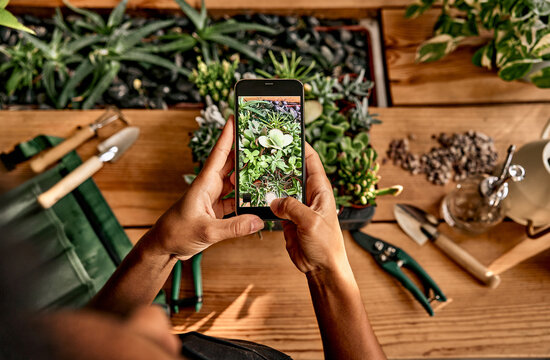 Top view of a woman holding a phone and taking a photo of succulents on a wooden table. On the table there are garden tools for transplanting pots, a watering can, a sprayer for flowers and plants.