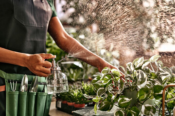 Cropped view of man in apron and gardener's tool kit holding clear glass sprayer and spraying...