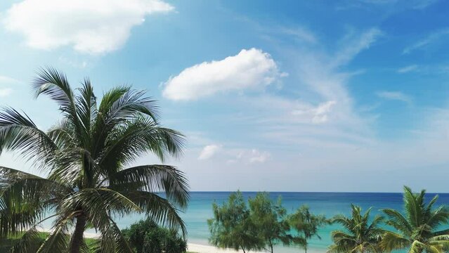 Palm trees on the beach summer. Landscape view paradise beach tropical island. 