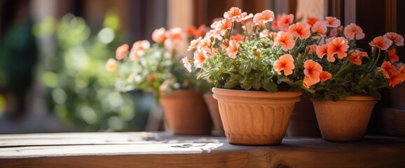 Flowers in a wooden pot decorating a window. Selective focus