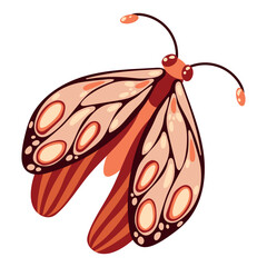 beautiful butterfly Dragonfly insect. Decorative stylized insect with a botanical pattern on the wings. Beetle wings. Vector illustration on a white background.