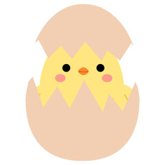 Little cute hand drawn chicks hatch out
