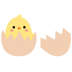 Little cute hand drawn chicks hatch out