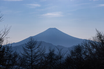 扇山から見た富士山