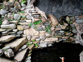 fish pond with a pile or arrangement of natural stones and beautiful roots.