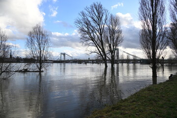 Hochwasser in Köln 2024
