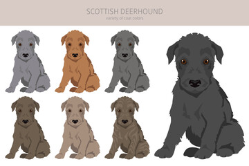 Scottish deerhound puppies clipart. Different poses, coat colors set