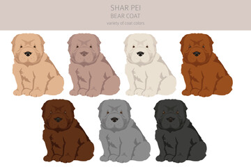 Shar Pei bear coat puppies clipart. Different poses, coat colors set