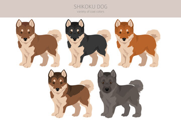 Obraz na płótnie Canvas Shikoku dog puppies coat colors, different poses clipart