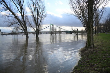 Hochwasser in Köln 2024