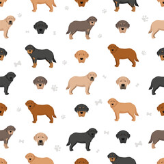 Spanish Mastiff coat colors, different poses seamless pattern