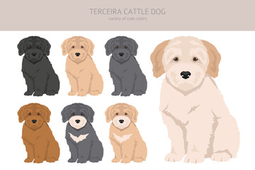 Terceira Cattle dog puppies clipart. Different poses, coat colors set. - obrazy, fototapety, plakaty