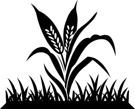 recommend clip art: Maize field silhouette. Corn farm black vector illustration. Cultivation of crops. AI generated illustration.