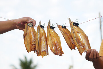 Dried fish hanging to dry on a line  outdoor. Concept, food preservation for next time cooking or...