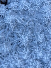 Winter blue natural background. Snow frosty patterns