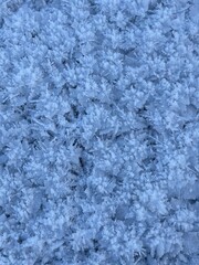 Winter blue natural background. Snow frosty patterns