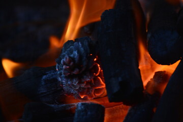 Campfire_1