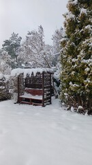 white winter in the garden