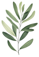 Colorful watercolor painting of an olive leaf. Vibrant shades and delicate details create a soothing and natural artistic representation, generative AI