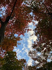 beautiful scenery of korea