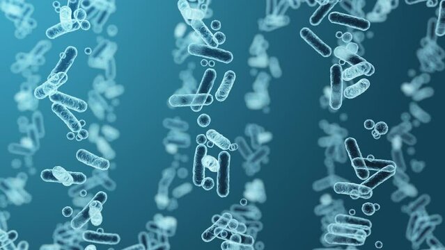 Enterobacteriaceae, gram-negative rod-shaped bacteria, part of intestinal microbiome and causative agents of different infections, 3D rendering. Escherichia coli, Klebsiella, Enterobacter and other