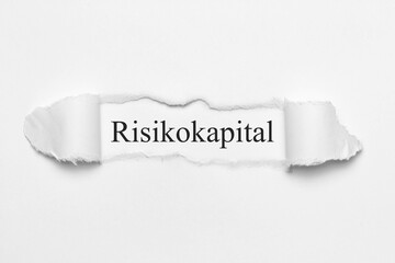 Risikokapital	