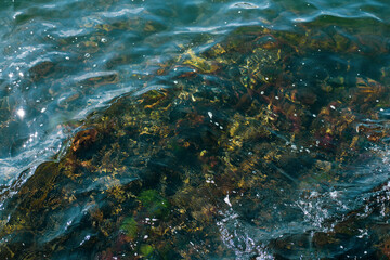 transparent waves through which stones are visible. Sea