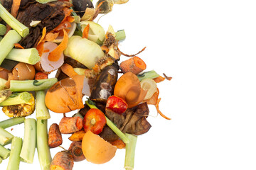 Residuos orgánicos en descomposición. © Julio