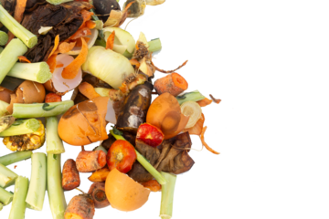 Residuos orgánicos en descomposición.