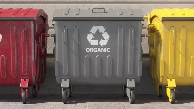 Recycle garbage containers bins of different colors for sorting wastes Ecology green environment