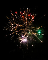 Colorful fireworks on the night black sky
