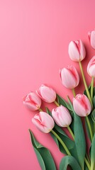Obraz premium Pink tulips on the pink background. Valentines background. Vertical