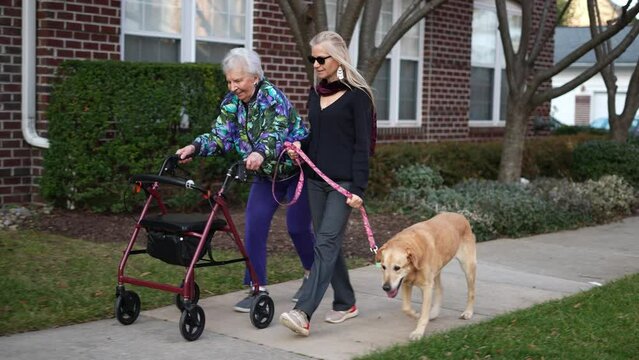 Front view of elderly senior woman pushing a walker with daughter and dog besides her, rolling on a sidewalk outside for exercise and mobility.