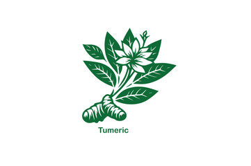 Vibrant Turmeric Spice Vector Illustration Icon